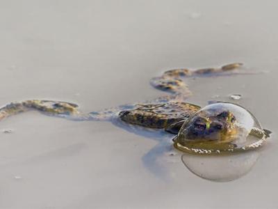 afoto4.jpg