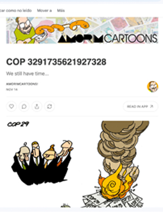 Boletín Amorincartoon 14/11/24 | Brasil