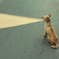 Humores visuales | El humor en los Premios Street Macadam