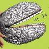Investigación científica: "Humor, cerebro y confusión"