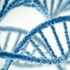 Investigación: ¿El humor está en nuestros genes?