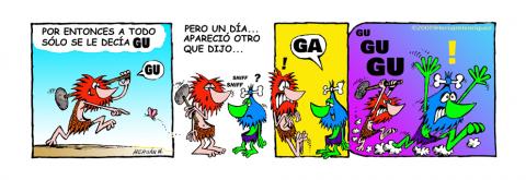 TIRA3.jpg