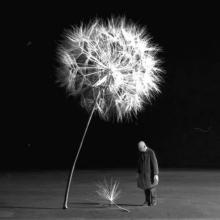 Del otro lado de la definición: el aforismo como resistencia